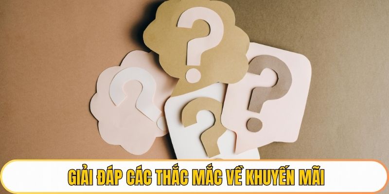 Giải đáp các thắc mắc tại liên hệ QH88