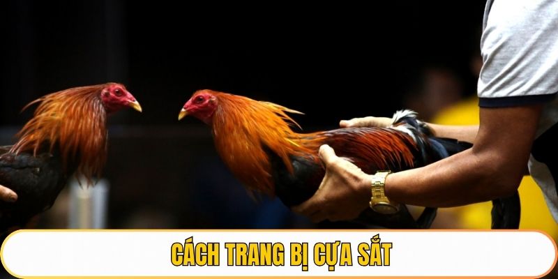 Cách trang bị cựa sắt